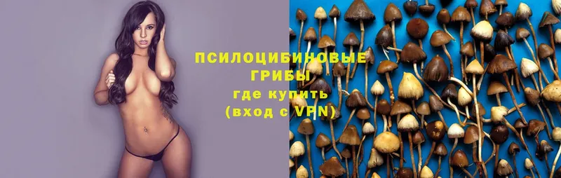 даркнет сайт  Новоаннинский  Псилоцибиновые грибы MAGIC MUSHROOMS 